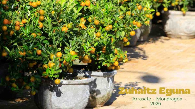 Programa Zuhaitz Eguna en Arrasate_Mondragón 2026